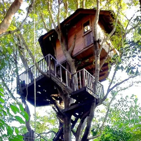 Rabeang Pasak Tree House Resort